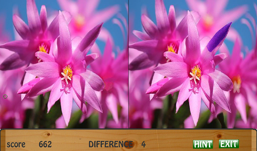 Flowers - Spot the Difference