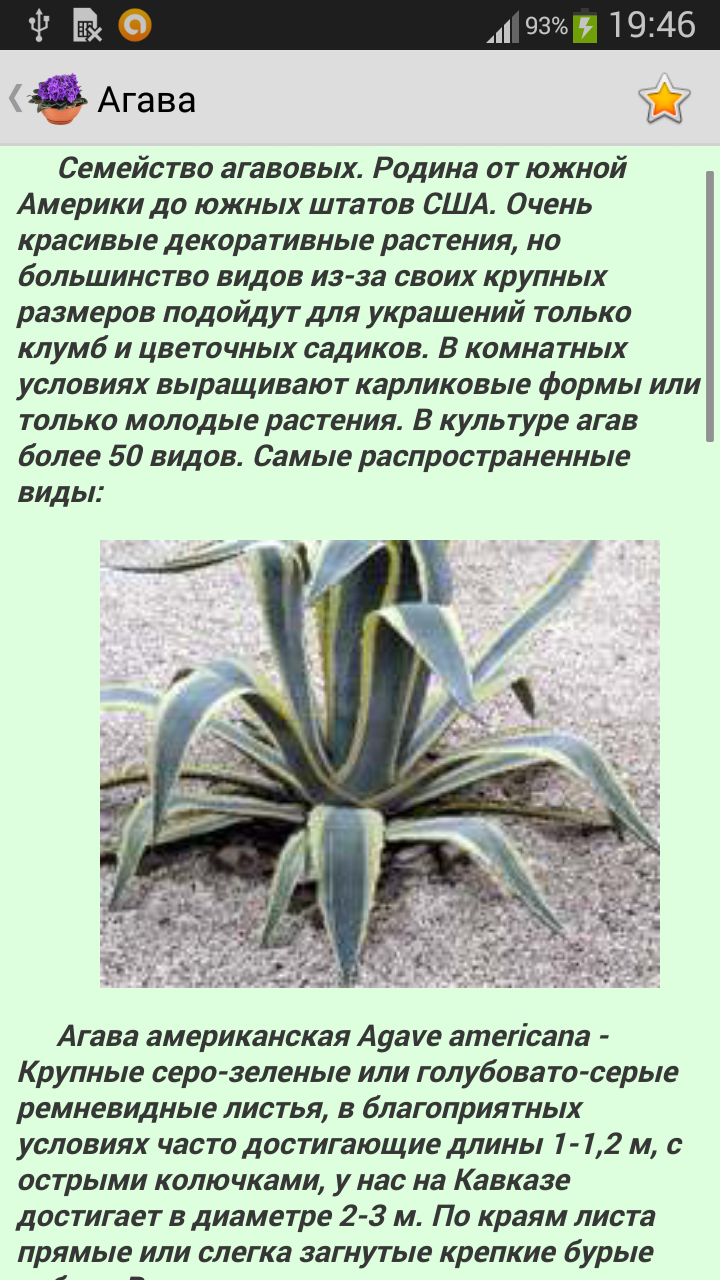 Комнатные растения Screen 2