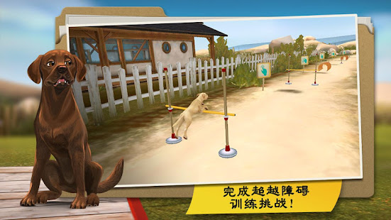 DogHotel Premium - 我的狗狗旅馆(圖6)-速報App