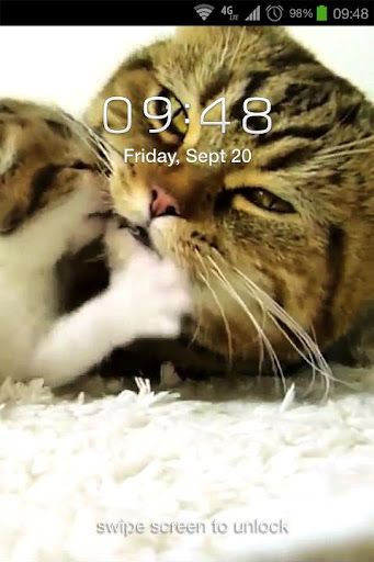 免費下載個人化APP|Kittens Live Wallpaper app開箱文|APP開箱王