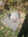 Rock Turtle 