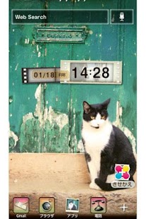 Lastest トイカメラ風猫の壁紙きせかえ　Hello！ APK