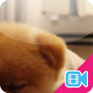 ► Lazy Puppy Live WallPaper.apk 1.0.7