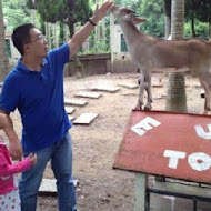 TO HOUSE 兔子餐廳