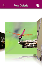 Foto Marlin Basel – Foto Profi poster 10