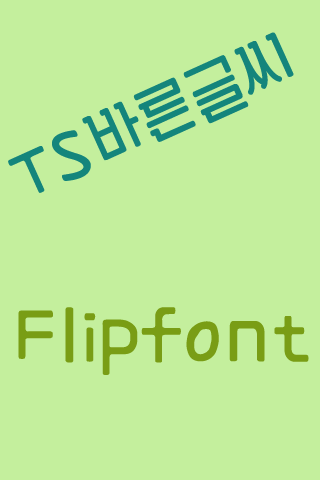 TS바른글씨 한국어 Flipfont