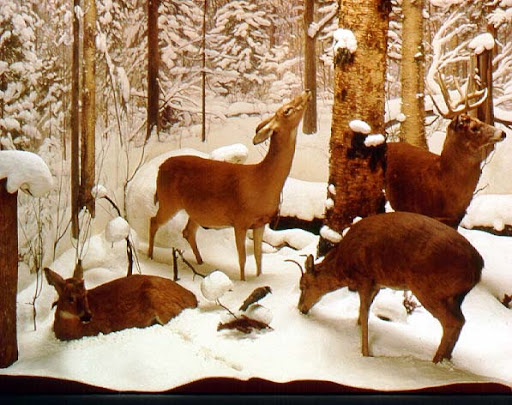 Four Seasons Diorama, Winter — Google Arts & Culture