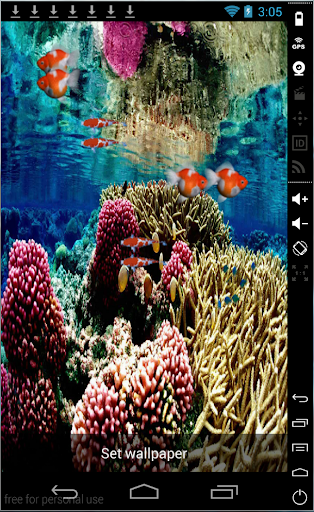 Coral Reef Livewallpaper