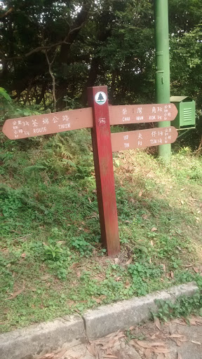 The End of Tai Lam Forests Road