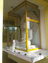 Peradeniya Buddha Statue