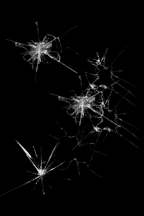 Download Screen Crack APK