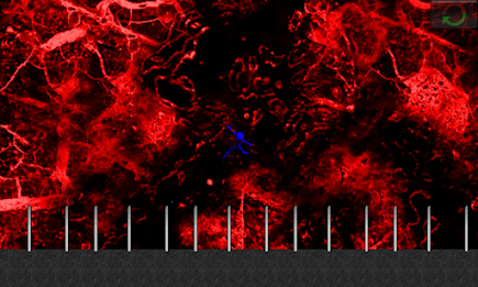 Ragdoll Murder poster 3