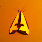 Clymene Moth