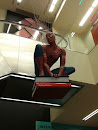 Spiderman in Public Store