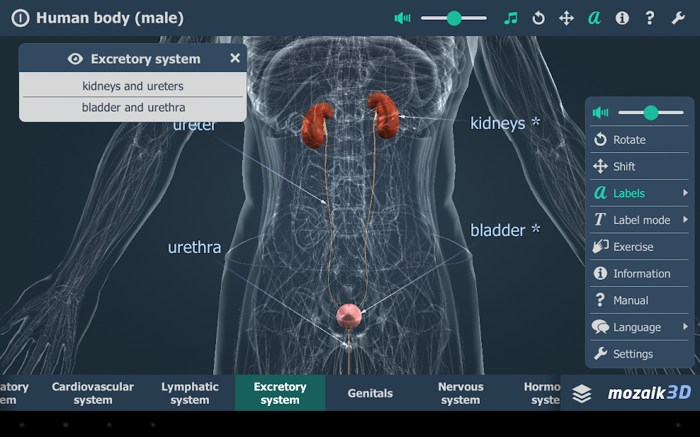 Human body (male) educational VR 3D Apps op Google Play