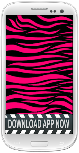 Zebra Print Android Wallpapers