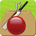 Cricket Record 2011 logo