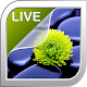 Nature Live Wallpaper APK