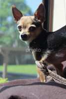 Enjoying the sun together by Robin Thurner -  