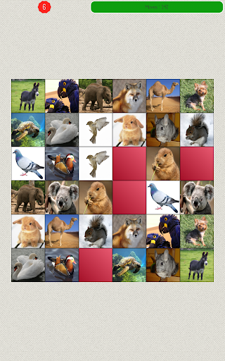 【免費解謎App】Memory Game - Animals-APP點子