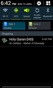 Holy Quran (HD)(圖8)-速報App