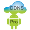 Dynamic DNS Update Pro