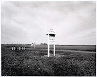 Carpoolen bij Stellendam