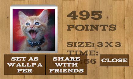 Cats and Kittens Puzzles poster 5