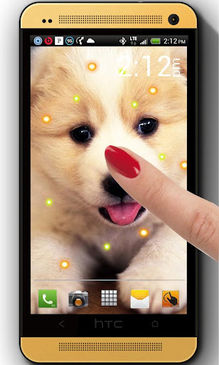 Cute Dogs live wallpaper