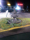 Car Wash Fountain