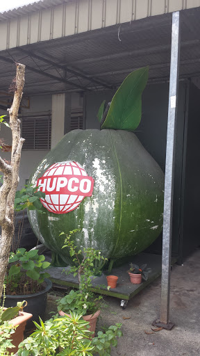 HUPCO Giant Pomelo