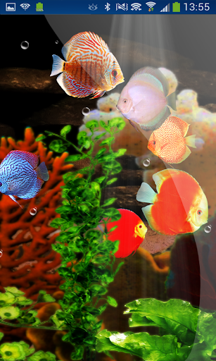 免費下載個人化APP|Coral Reefs Aquarium hd LWP app開箱文|APP開箱王