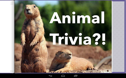 Animal Trivia poster 1