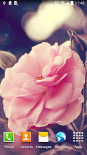 Rose Live Wallpaper(圖1)-速報App