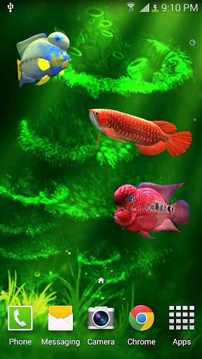 【免費個人化App】Arowana 3D Pro Live Wallpaper-APP點子