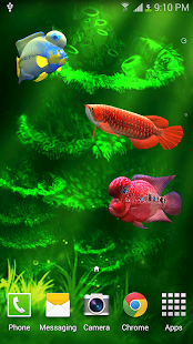 How to get Arowana 3D Pro Live Wallpaper lastet apk for laptop