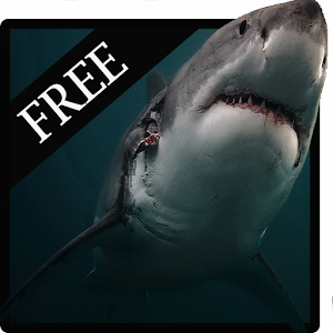 Furious Shark.apk 1.0.0