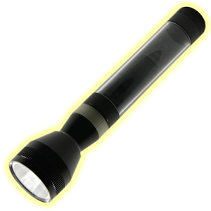Torch Light 3.6