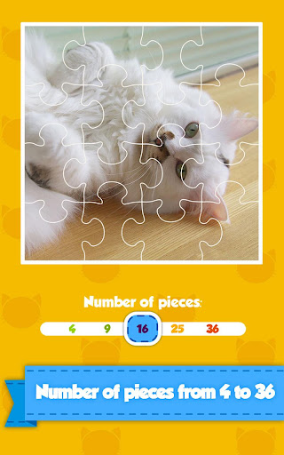 【免費解謎App】Cat Puzzle - Kids Jigsaw Game-APP點子