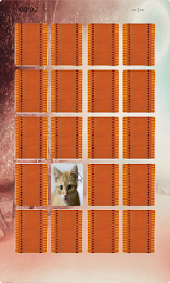 Cat Matching poster 2