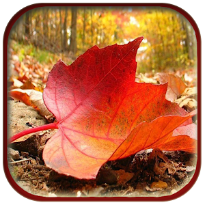 Autumn Live Wallpapers.apk 1.0