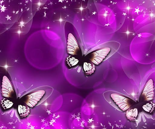 Butterfly HD Wallpaper