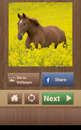 免費下載解謎APP|Horse Puzzles Free app開箱文|APP開箱王