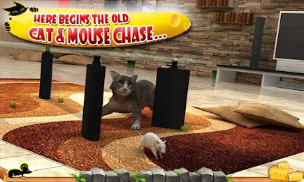 Crazy Cat vs. Mouse 3D poster 4