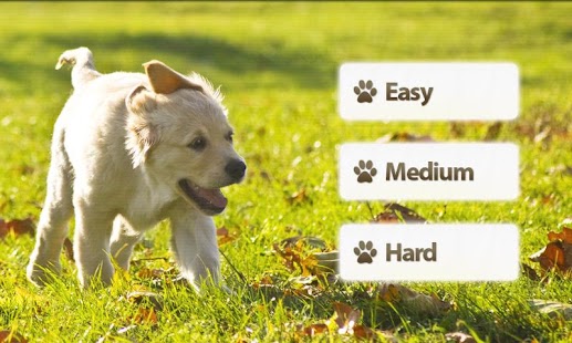 How to install Dogs Memory Game 1.0.6 mod apk for bluestacks