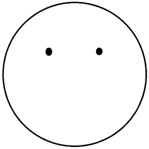 フェイスカバーカメラ 1.1