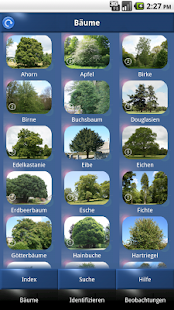 Baum Id Schweiz - Bäume der Schweiz(圖1)-速報App