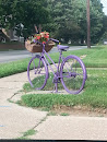 Jeffersonville Bicycle Awareness and Public Art Project