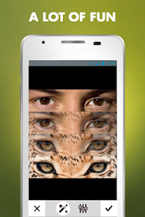 Animal Eyes(圖1)-速報App