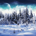 Winter Pin